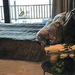 Panoramaresort In Hardangerfjorden I Sjokanten Ved Hardangerfjorden For 7 Personer Boat , Sauna,kajak, Sup For Rent Апартаменты *